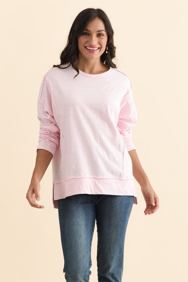 alt text|model:Brontie