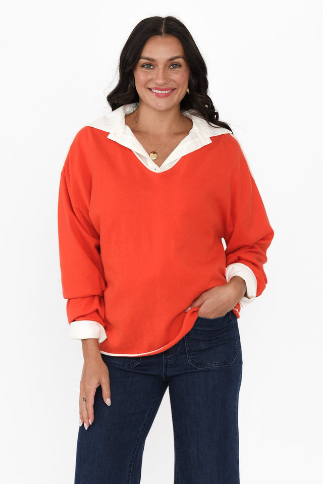 alt text|model:Brontie