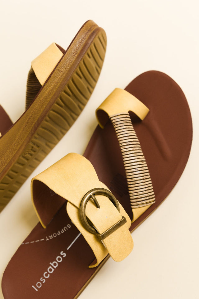 Bria Yellow Slide image 4