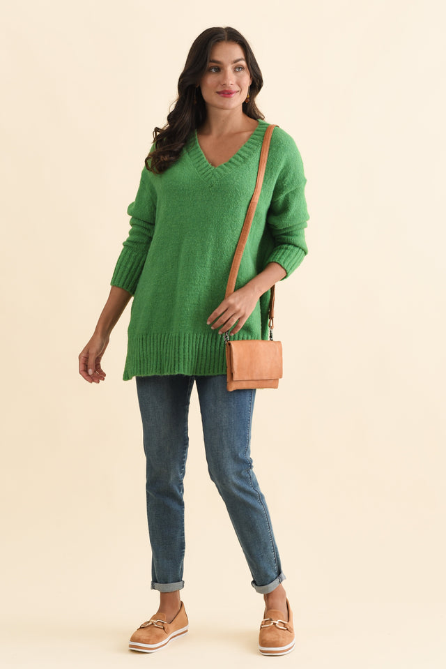 alt text|model:Brontie