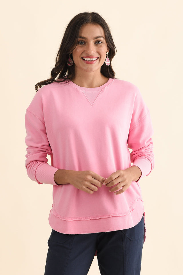 alt text|model:Brontie