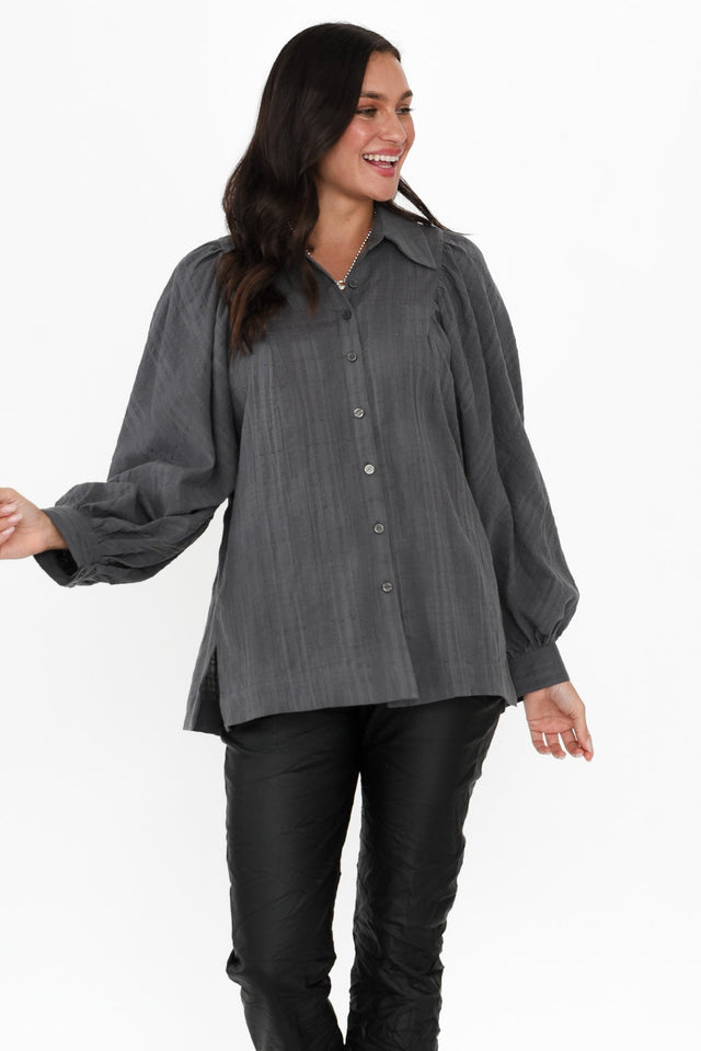 alt text|model:Brontie