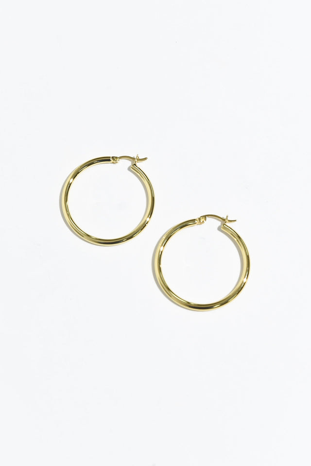 Erika Gold Hoop Earrings