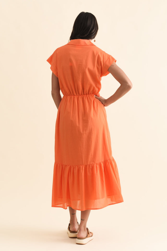 alt text|model:Brontie image 6