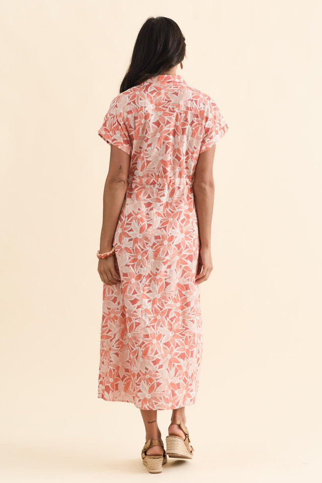 alt text|model:Brontie image 5