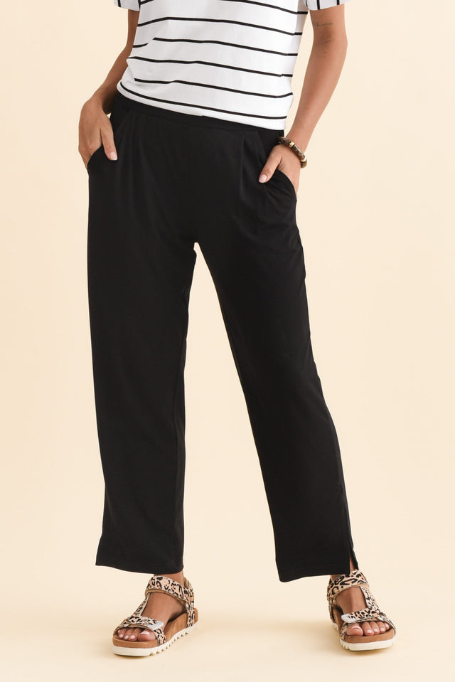 alt text|model:Brontie