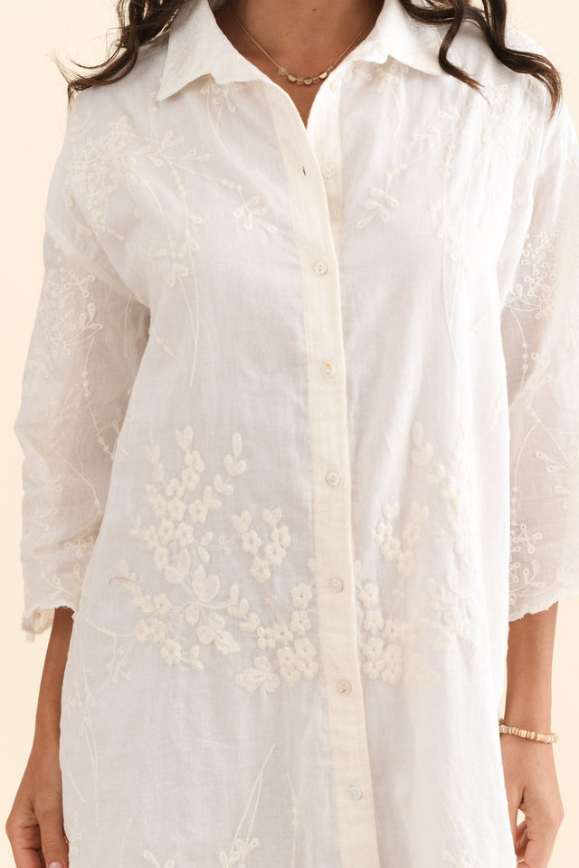 alt text|model:Brontie