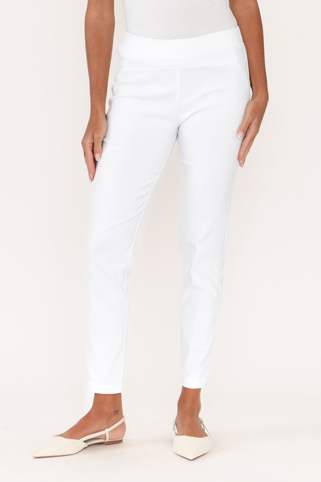 alt text|model:Brontie