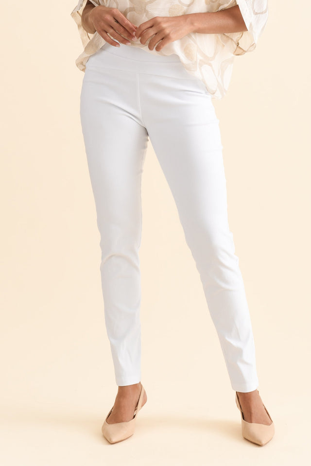 alt text|model:Brontie