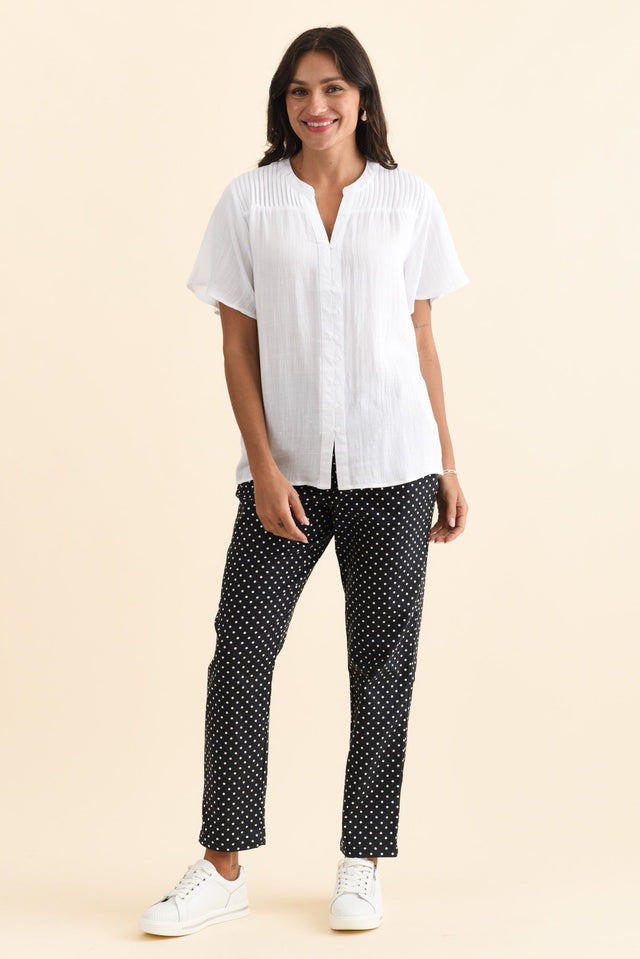 alt text|model:Brontie