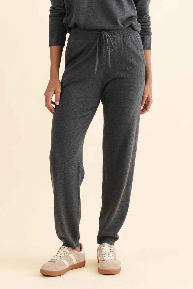 alt text|model:Brontie