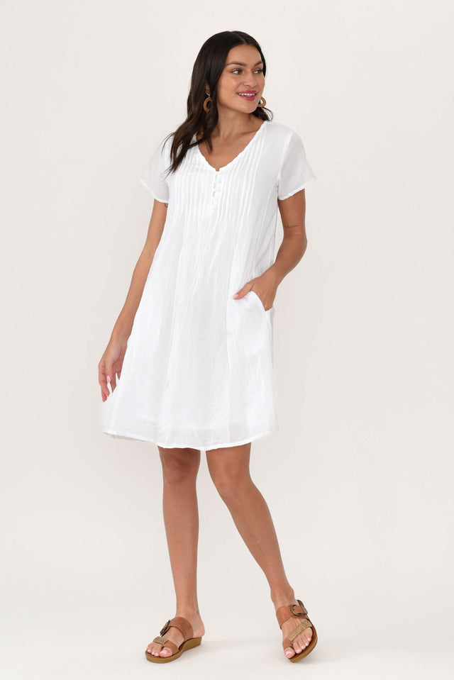 alt text|model:Brontie