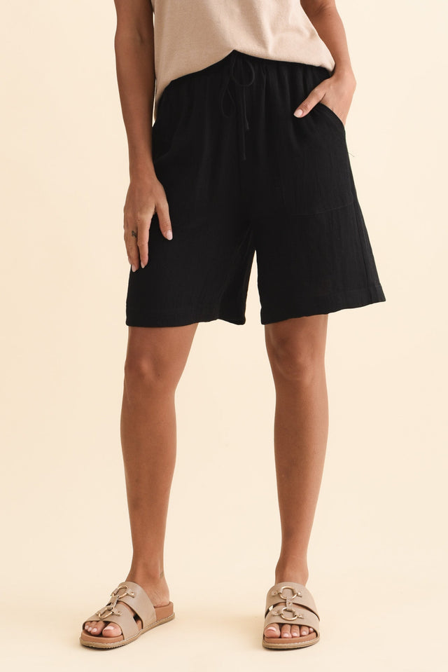 alt text|model:Brontie