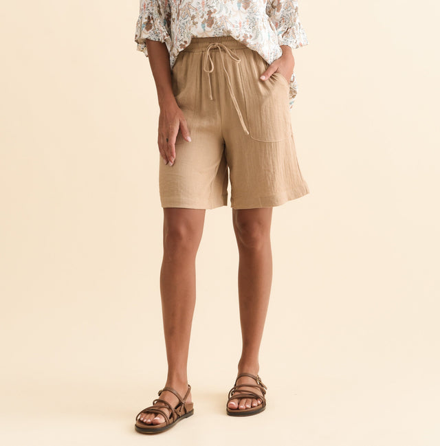 alt text|model:Brontie