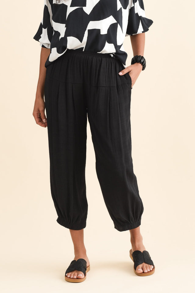 alt text|model:Brontie