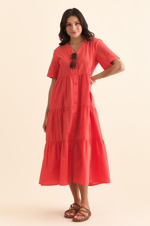 alt text|model:Brontie