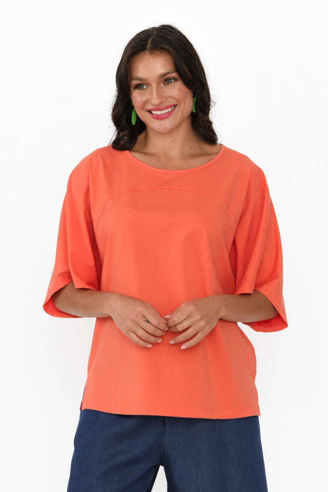 alt text|model:Brontie