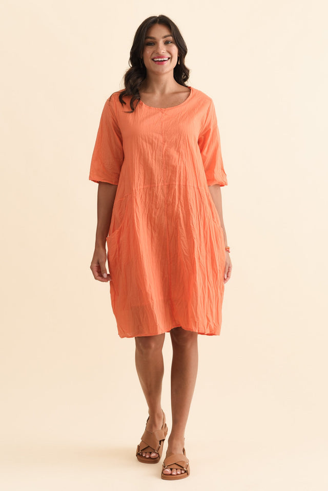 alt text|model:Brontie