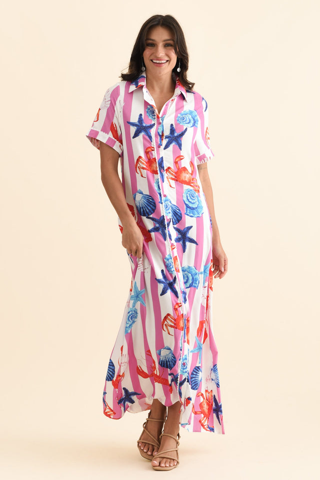 alt text|model:Brontie