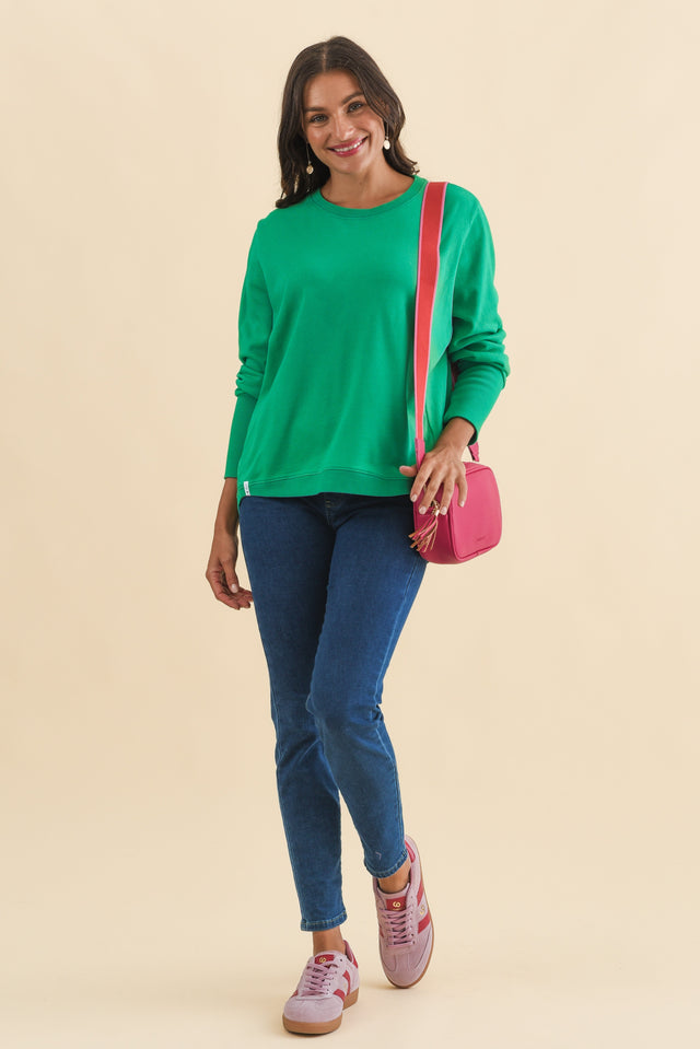 alt text|model:Brontie