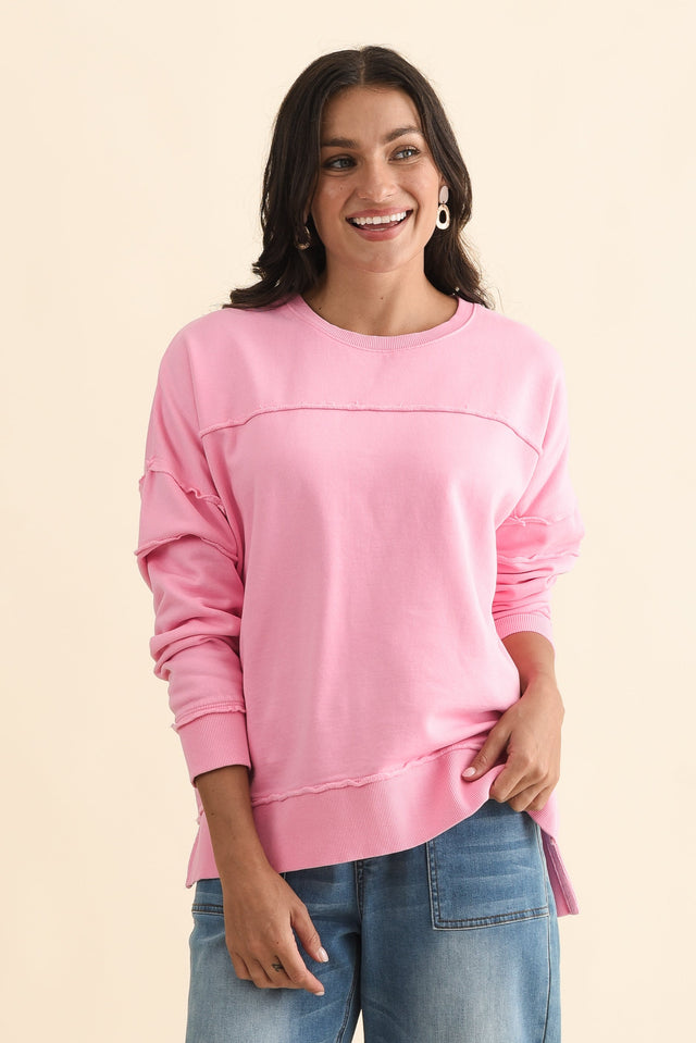 alt text|model:Brontie