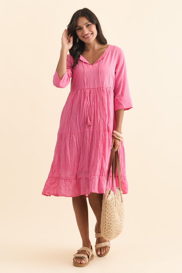 alt text|model:Brontie