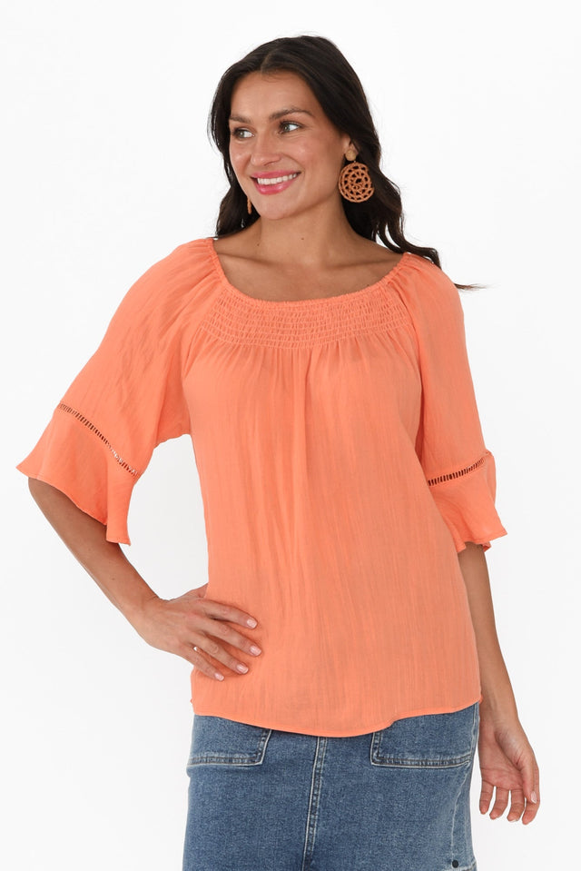 alt text|model:Brontie