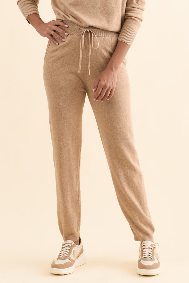 alt text|model:Brontie