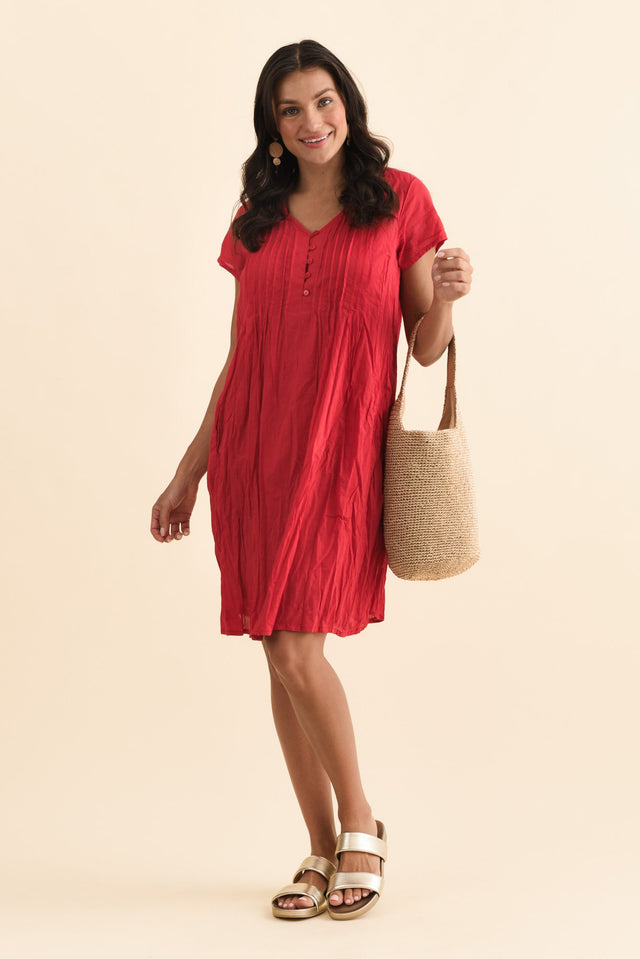 alt text|model:Brontie