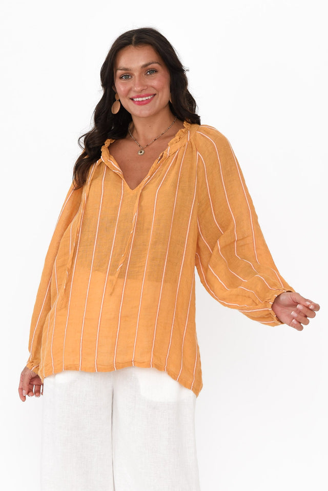 alt text|model:Brontie