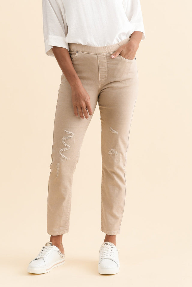 alt text|model:Brontie